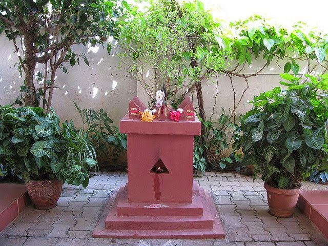 buy alesse online canada