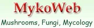 MykoWeb