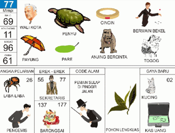 47 Arti mimpi penyu bertelur nomer togel