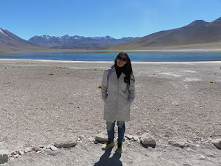 Laguna Miscanti Lagunas Miscanti e Miñiques