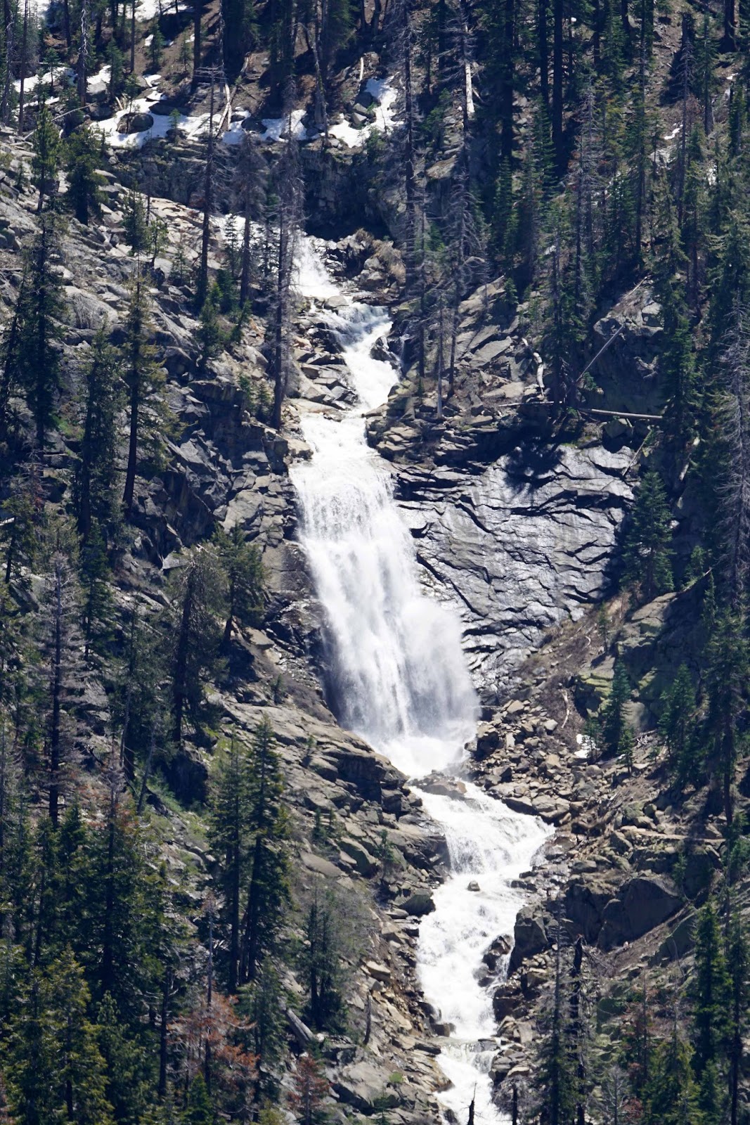 Mid Sierra Musings Kaiser Pass Road And White Bark Vista 2016