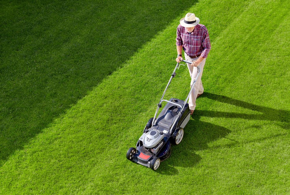 Choose A Finest Lawn Mowing Service Provider To Take Care Of Your choose-a-finest-lawn-mowing-service-provider-to-take-care-of-your