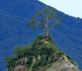 ngarai sianok bukittinggi