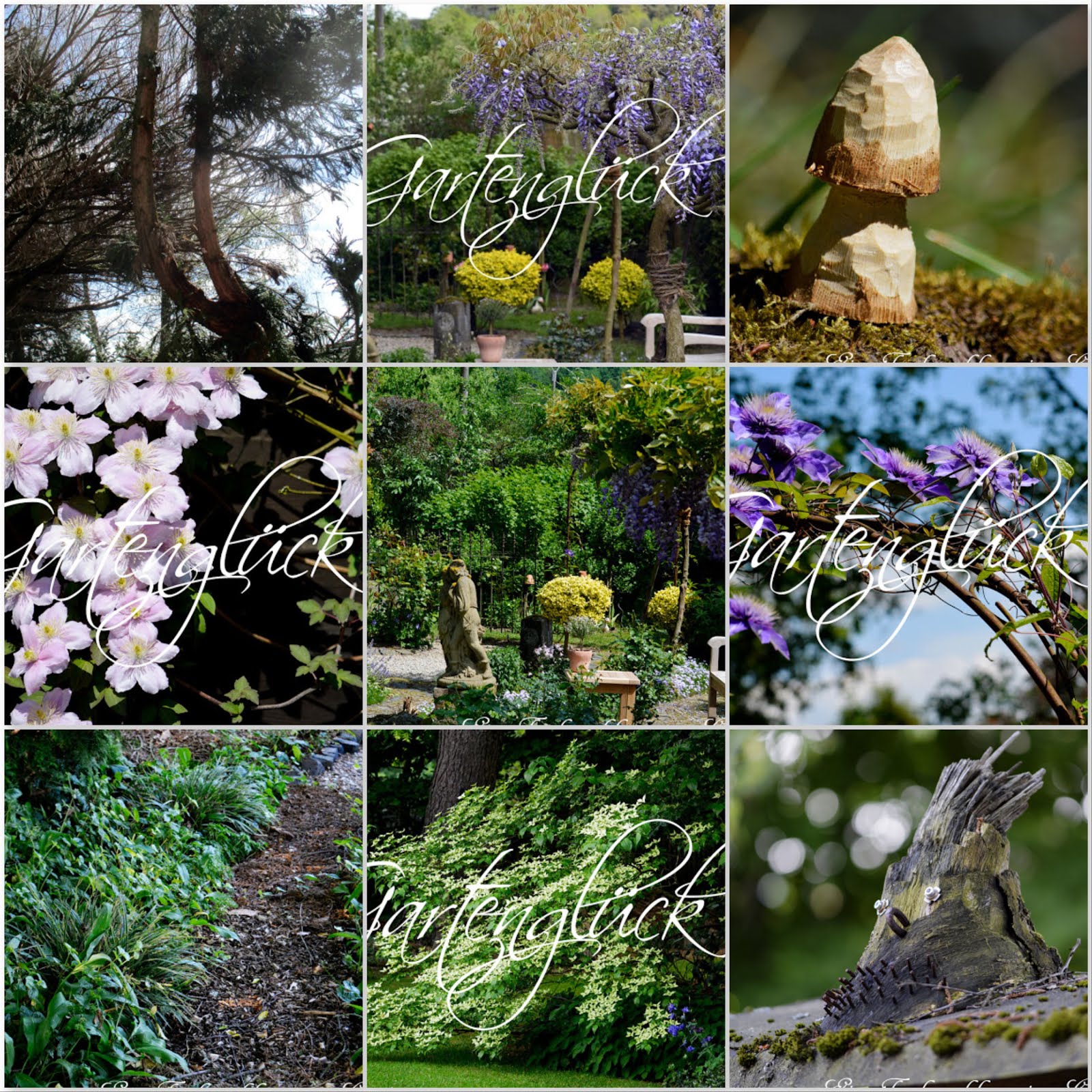Monatscollage, Gartenblog Monatscollage, Gartenblog