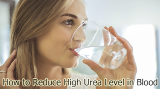 How to Reduce High Urea Level in Blood