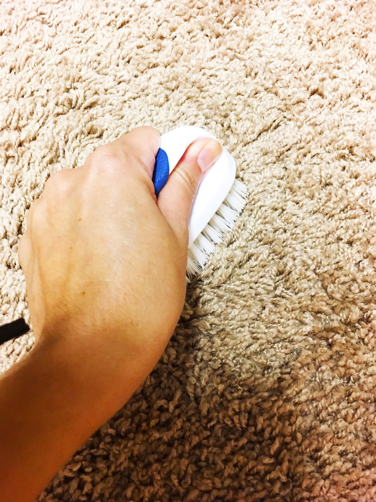 Faking Fanci Homemade Carpet Cleaner + Stain and Odor Remover