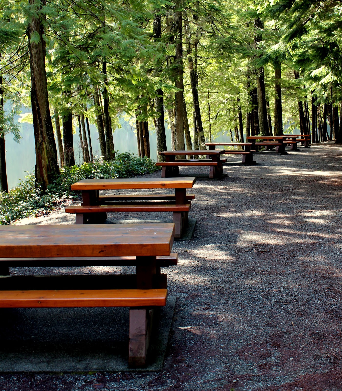 The Murray Chronicles Hiking at Alice Lake Provincial Park Jeem