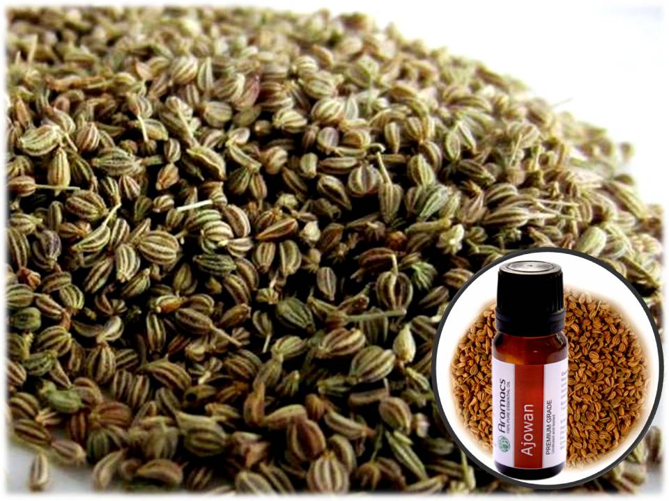 AROMATERAPIA, SALUD Y MAGIA AJOWAN, ESPECIA QUE PROCEDE DE LA INDIA