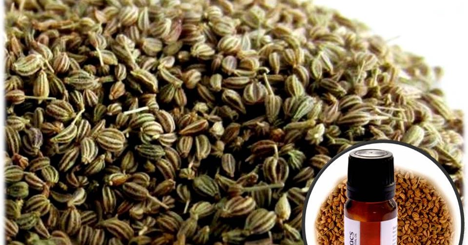 AROMATERAPIA, SALUD Y MAGIA AJOWAN, ESPECIA QUE PROCEDE DE LA INDIA