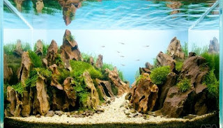 200 Referensi Desain Dan Model Aquascape Berdasarkan Tema https://www.faktapopuler.com/2018/12/200-referensi-desain-dan-model.html