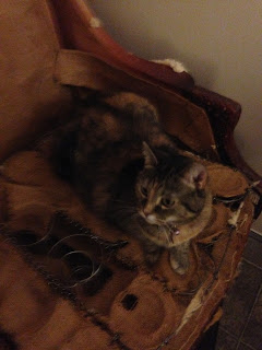 Cat in Chair Chair reupholstery project