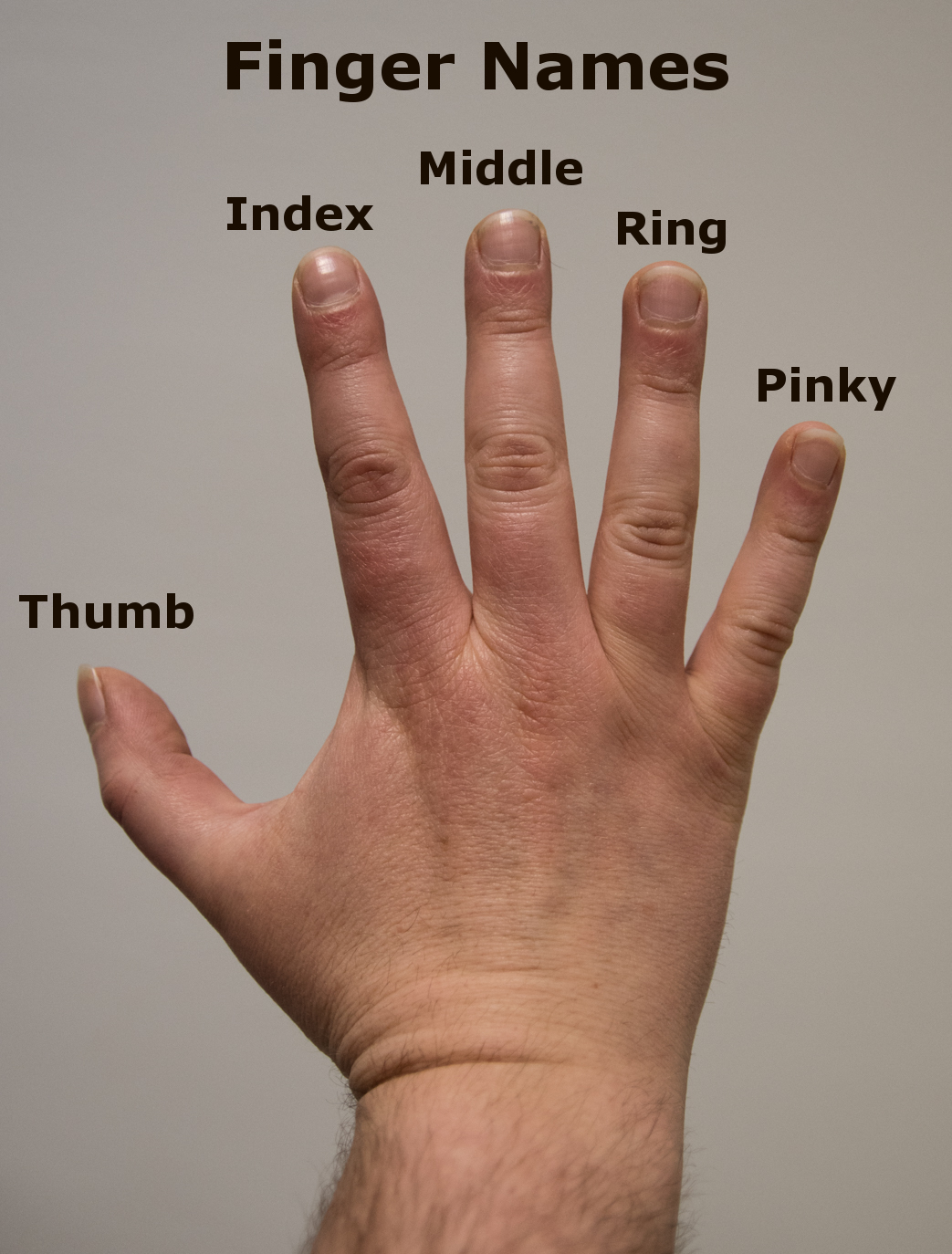 Picking the Fingers for Fingerpicking Which Fingers to pick with in