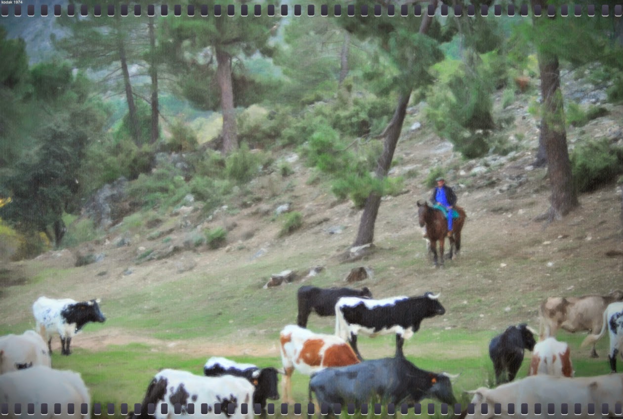 AULA DE 5º / 6º CPR ALTO GUADALQUIVIR LA TRASHUMANCIA