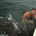 Vídeo da Semana: Fugindo do Tubarão