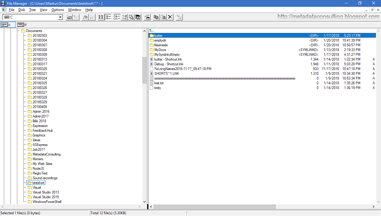 Metadata Consulting [dot] ca Microsoft open sources Windows File