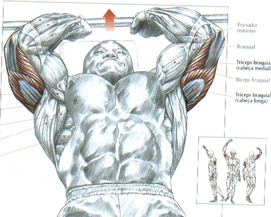Sequência de exercícios para triceps
