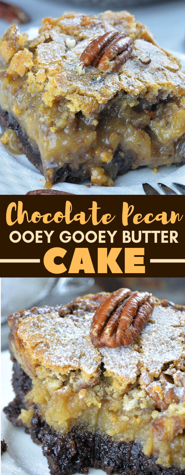 Chocolate Pecan Ooey Gooey Butter Cake #dessert #cakes