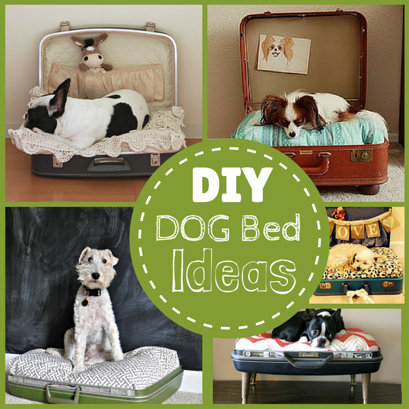 Do It Yourself Blog DIY Ideas Easy DIY Dog Projects