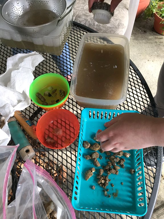 Dishfunctional Designs A Rockhound's Crystal Hunting Field Trip