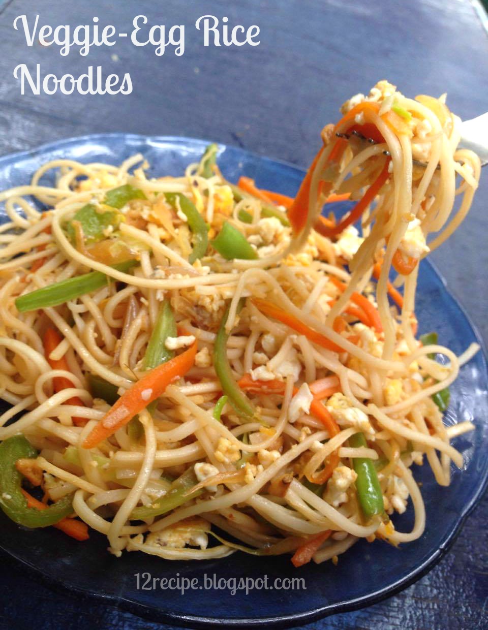 VeggieEgg Rice Noodles Recipe Book