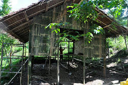 chicken coop talisay farm bamboo sustainability adventures cebu