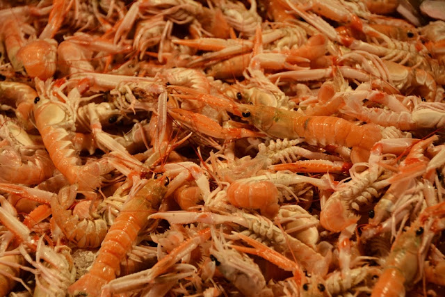 Rialto Fish Market Venice shrimps
