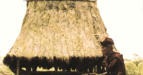 Gambar Rumah Adat Ende Lio - Gambar Con