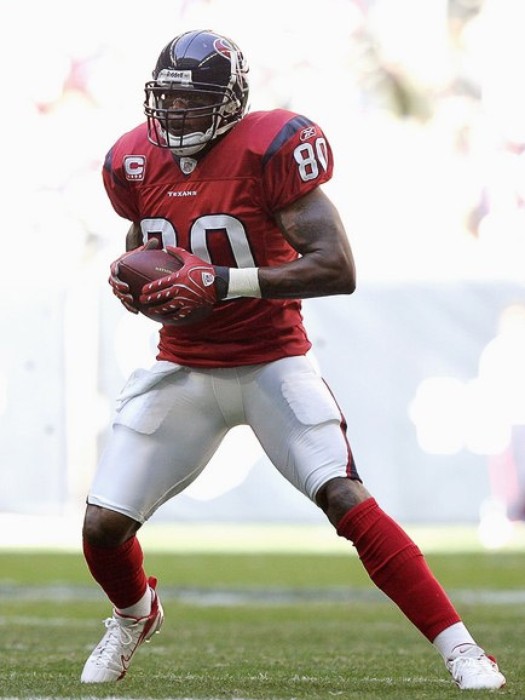 Andre Johnson American NFL Player Profile & Photos 2012 | All Sports Players