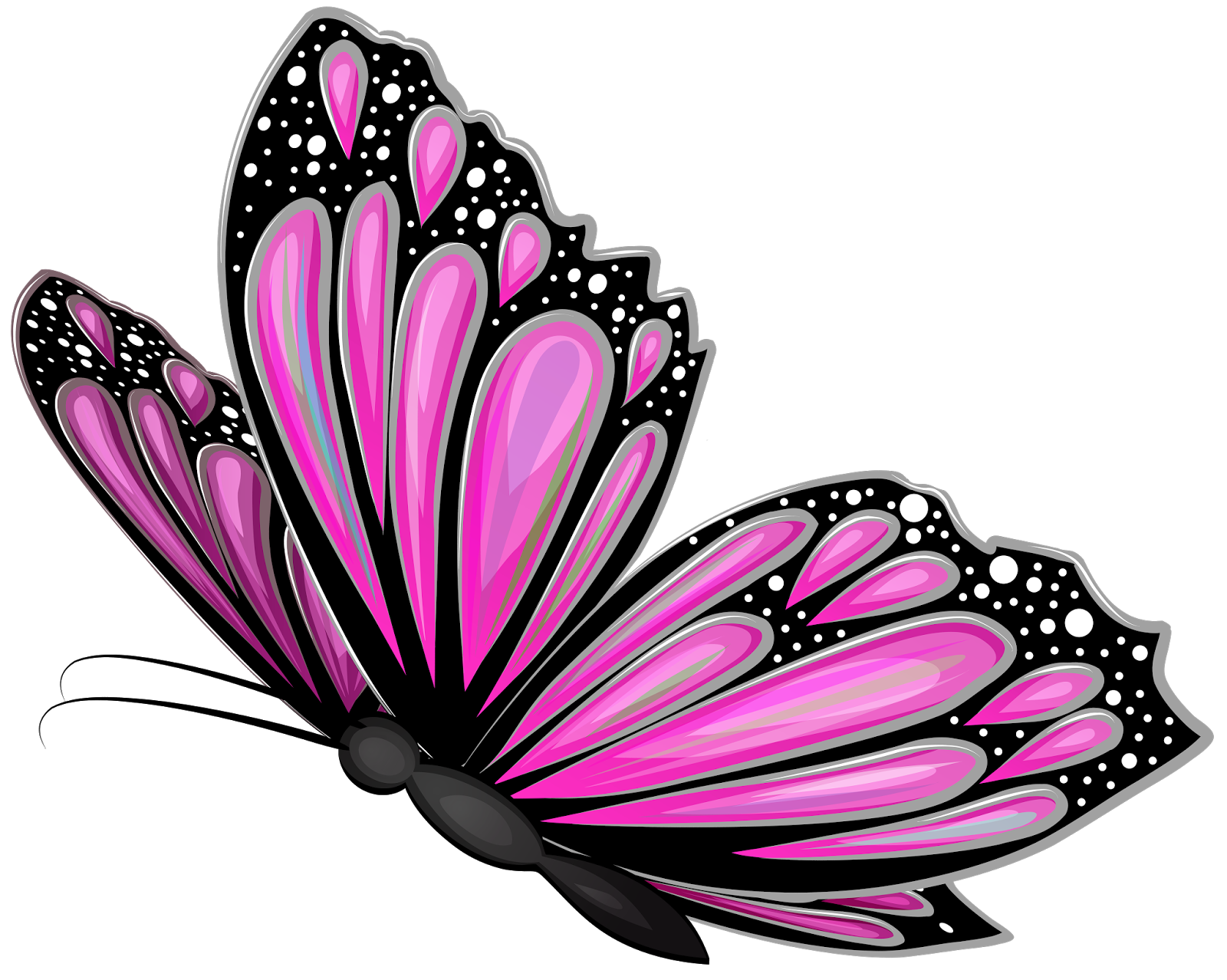 Пнг изображения. Бабочки на просроченном фоне. Картинка бабочка на прозрачном фоне. Красивые бабочки на прозрачном фоне. Бабаочкинапрозрачномфоне.
