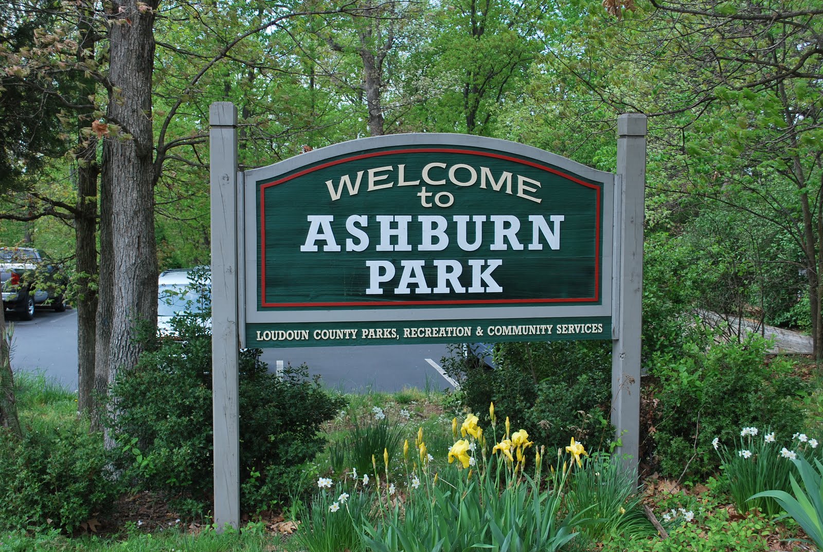 The Next Best Thing..... Ashburn Park aka "The Dinosaur Park"