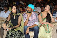 Three Audio Launch Gallery [Andhrula Music]