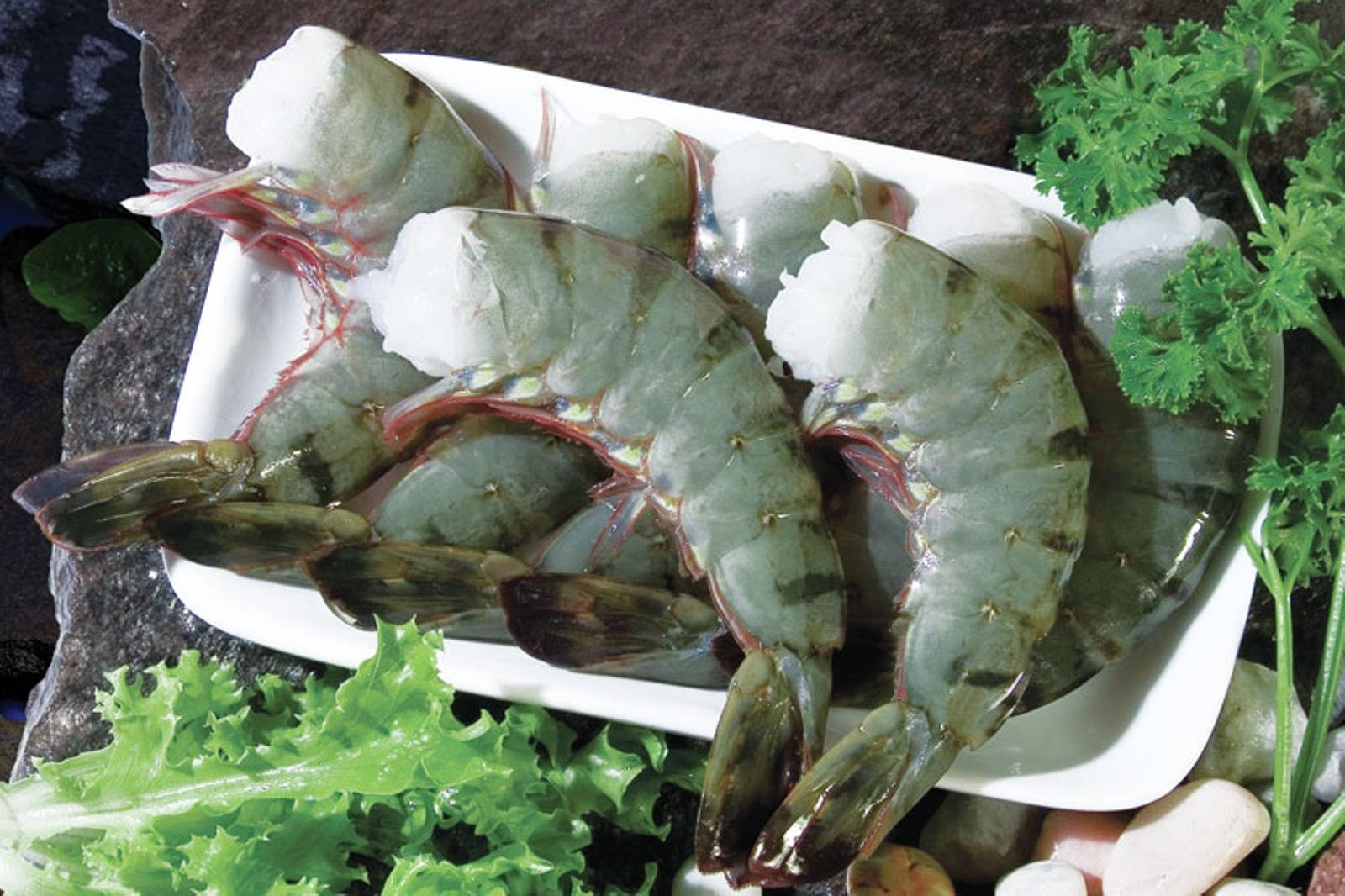 Black Tiger Shrimps Black Tiger Shrimps