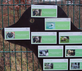 Tierpark Neumünster Tierpatenschaft Kinder Familie Herbst Winter Frühjahr