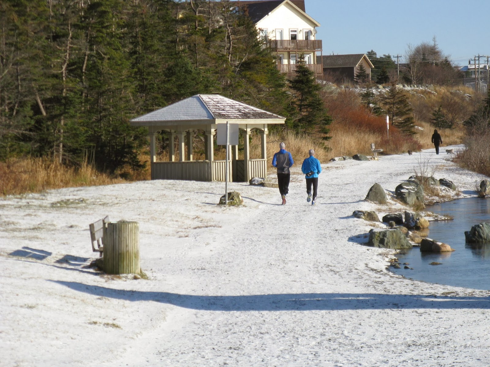 Trekking to Town: Leg 8: Neil's Pond to Park Avenue