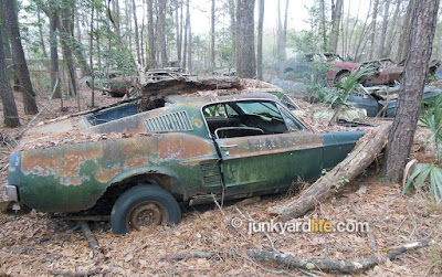 Houston classic car hoard contains more than 60 Ford Mustangs.