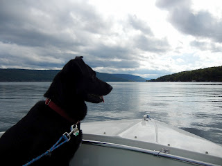 Our dog Chloe enjoying riding on a boat on one of the Finger Lakes in New York
