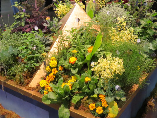 Philadelphia Flower Show 2019 - yellow