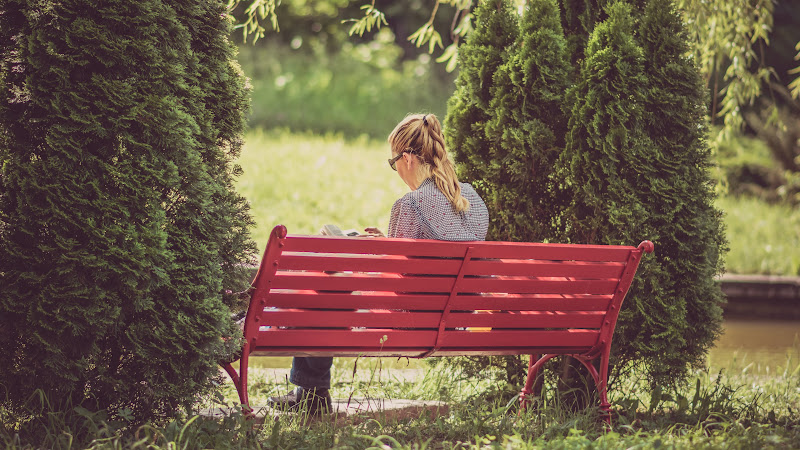 Girl Reads a Book in the Park