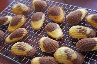 Rezept für glutenfreie Marmor-Madeleines. http://www.gluten-frei.net/2015/03/rezept-marmor-madeleines-glutenfrei.html