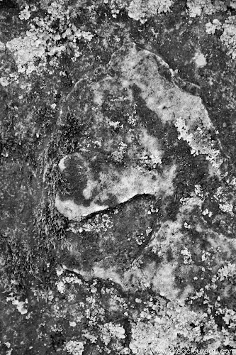 Le sourire de Pluto, Fontainebleau Le sourire de Pluto, Fontainebleau
