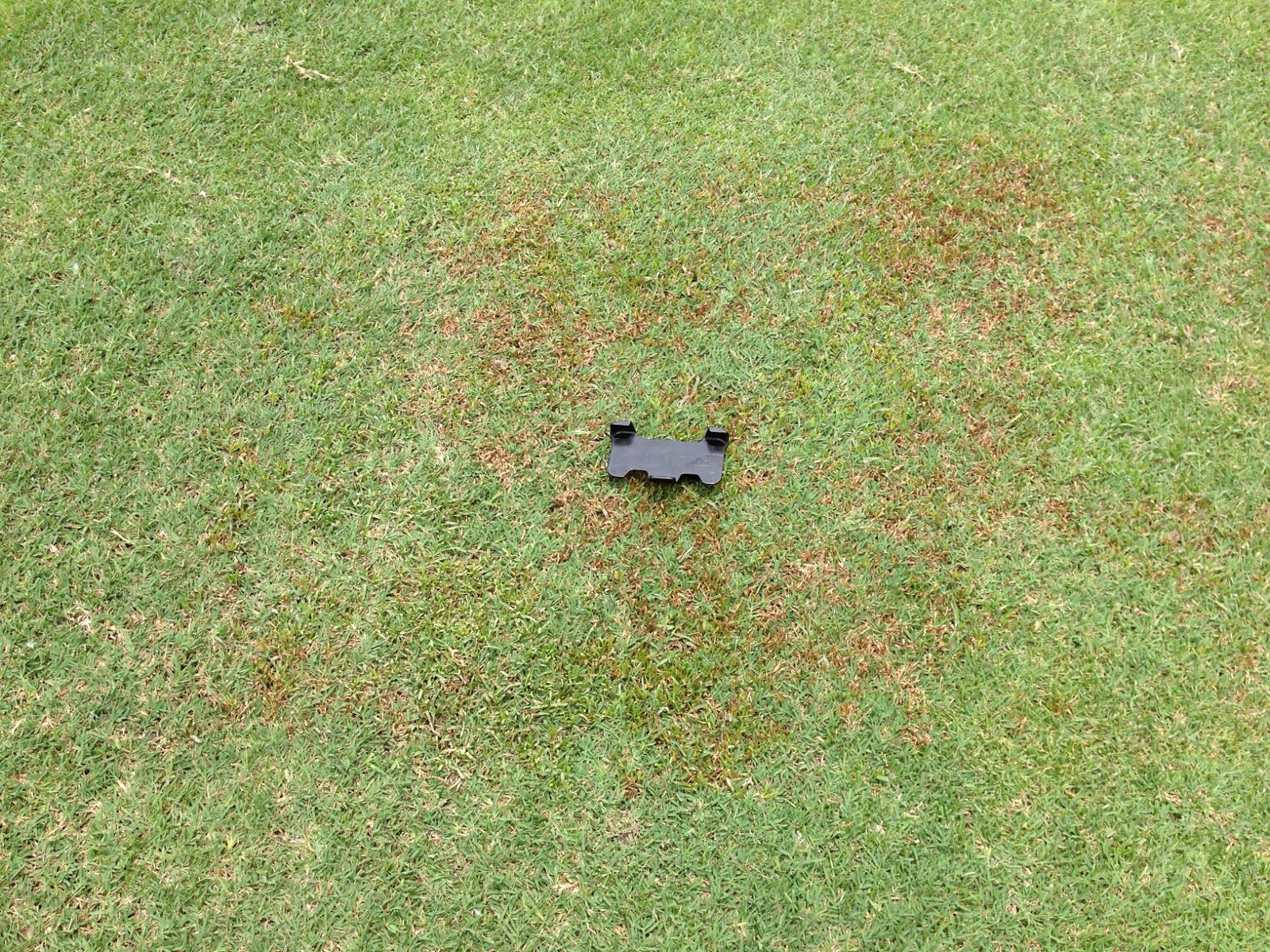 Glen Echo Country Club Golf Course Management: Spot Weed Control