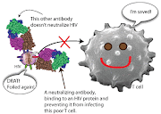Η ασθενεια δεν προκαλειται απο ιους και βακτηρια,αλλα απο το εξασθενισμενο ανοσοποιητικο συστημα