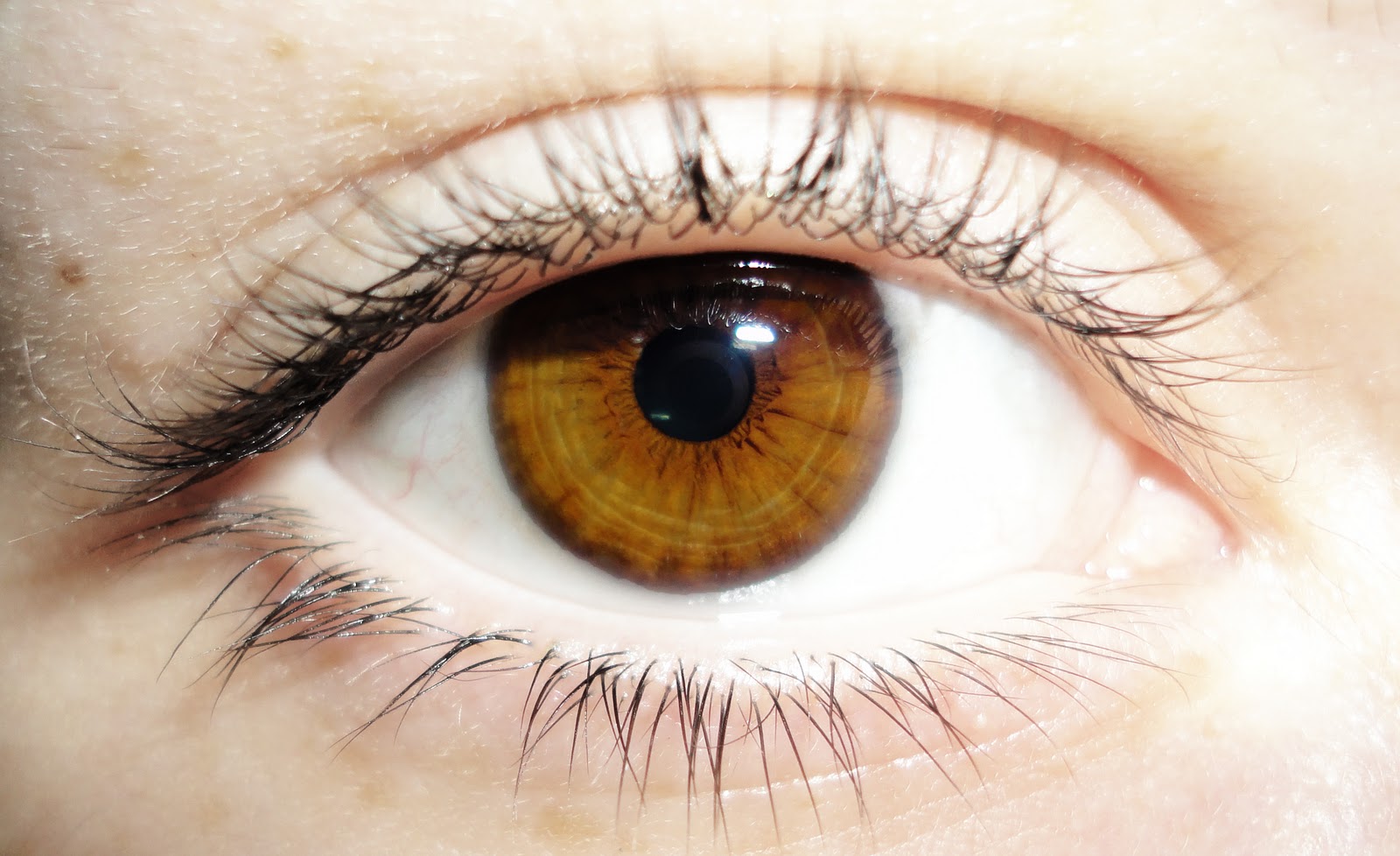 miel & limón Ojos