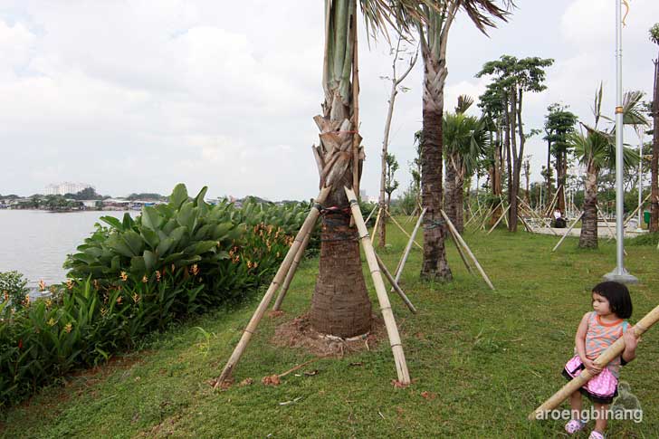 pohon palem taman kota ria rio jakarta