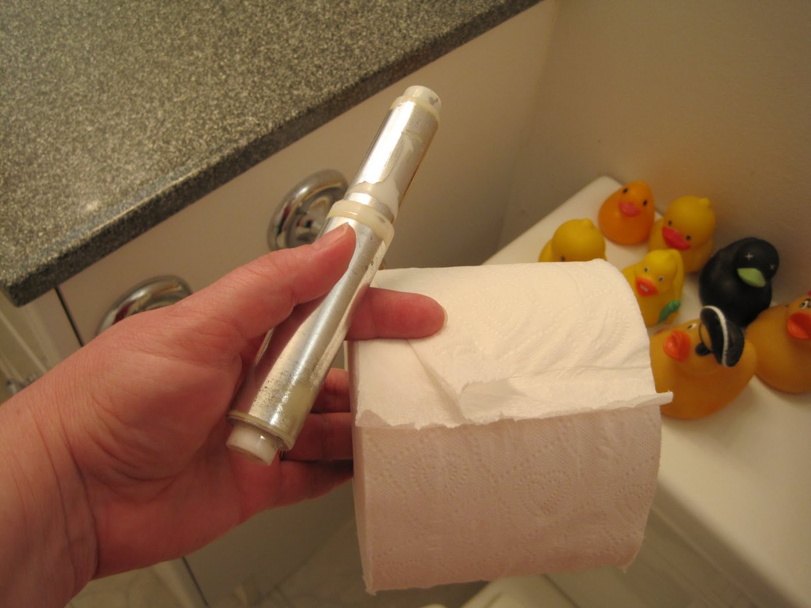 Remedial Adulthood How To Replace A Toilet Paper Roll.