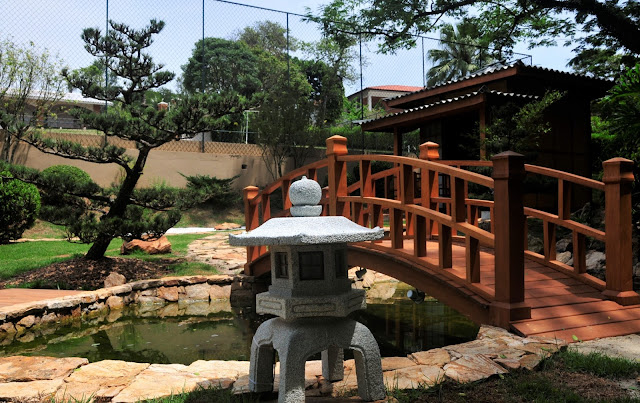 jardim japones jardim japones; ponte jardim; paisagismo; pinheiro negro; ponte jardim; lanterna de pedra