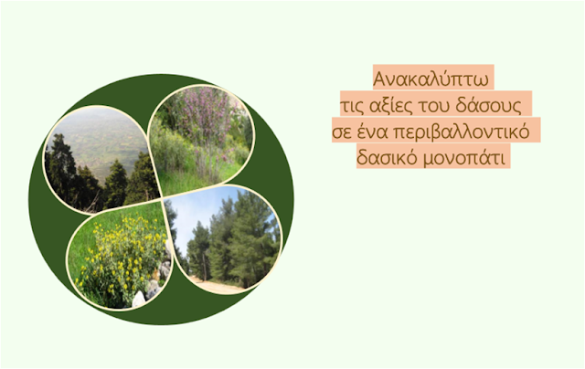 http://blogs.sch.gr/geapostoli/files/2015/08/Anakalipto-tis-axies-tou-dasous-se-ena-perivallontiko-monopati_Vasiliki-Kontou.pdf