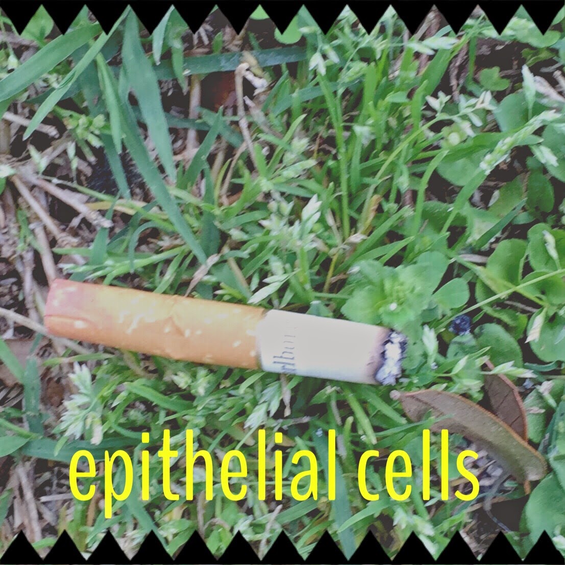 Sugar Crime Scene E Epithelial Cell Evidence