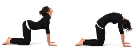 Marjarasana - Simple Yoga Workout for Body Slimming Marjarasana - Simple Yoga Workout for Body Slimming