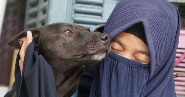 Muslim Pelihara Anjing Begini Cara Bersuci Dari Air Liur Anjing